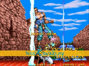 Double Dragon Screenshot