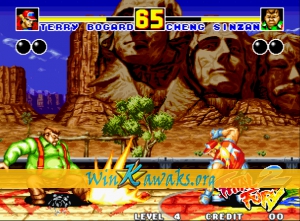 Fatal Fury 2 Screenshot