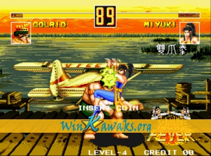 Fight Fever Screenshot