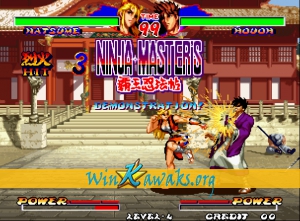 Ninja Master's: haoh-ninpo-cho Screenshot