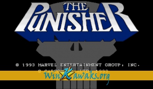 The Punisher (World 930422)