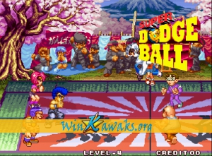 Super Dodge Ball Screenshot