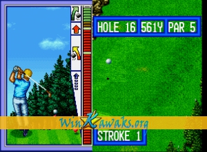 Top Player's Golf Screenshot