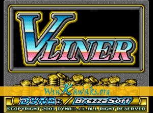 V Liner