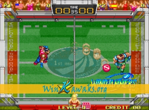 Wind Jammers Screenshot